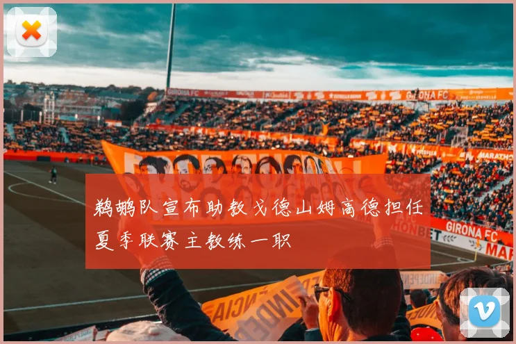 鹈鹕队宣布助教戈德山姆高德担任夏季联赛主教练一职