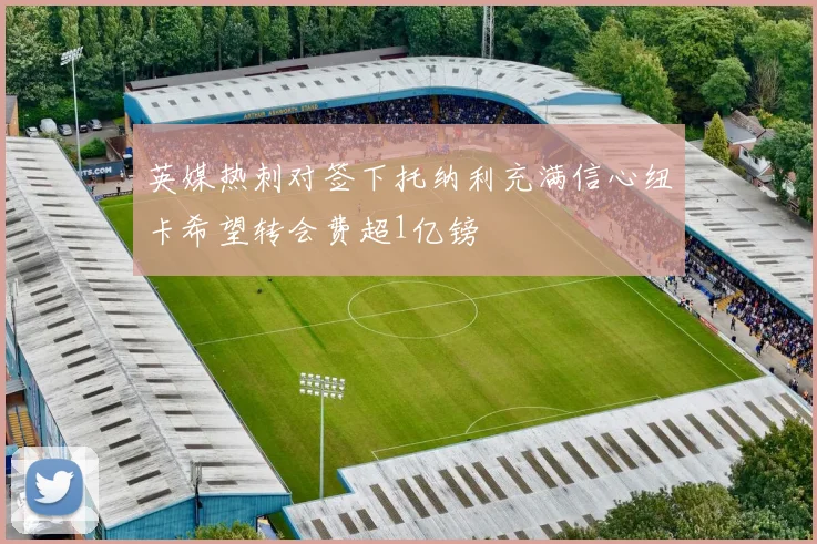 英媒热刺对签下托纳利充满信心纽卡希望转会费超1亿镑