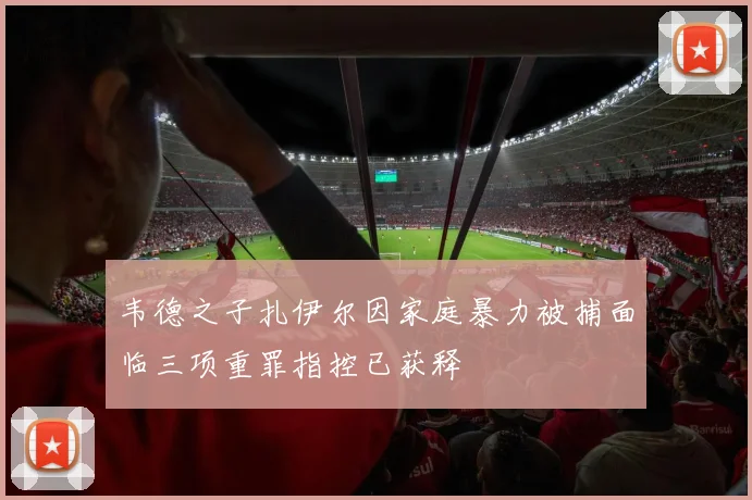 韦德之子扎伊尔因家庭暴力被捕面临三项重罪指控已获释